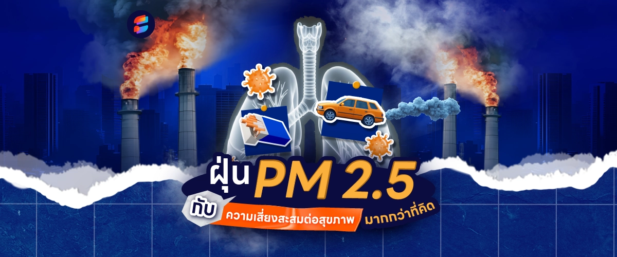 ฝุ่น PM 2.5