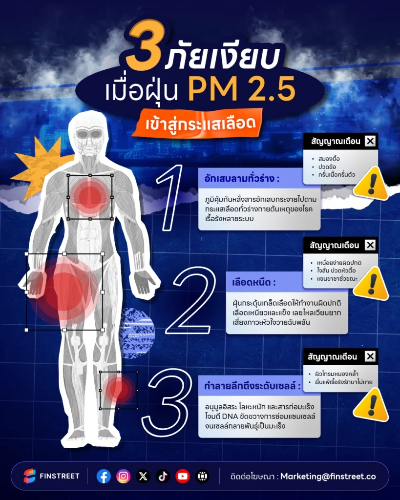 ลิ่มเลือดอุดตัน ฝุ่น Pm 2.5